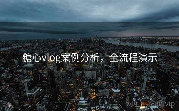 糖心vlog案例分析，全流程演示