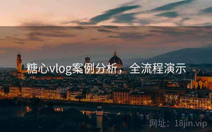 糖心vlog案例分析，全流程演示
