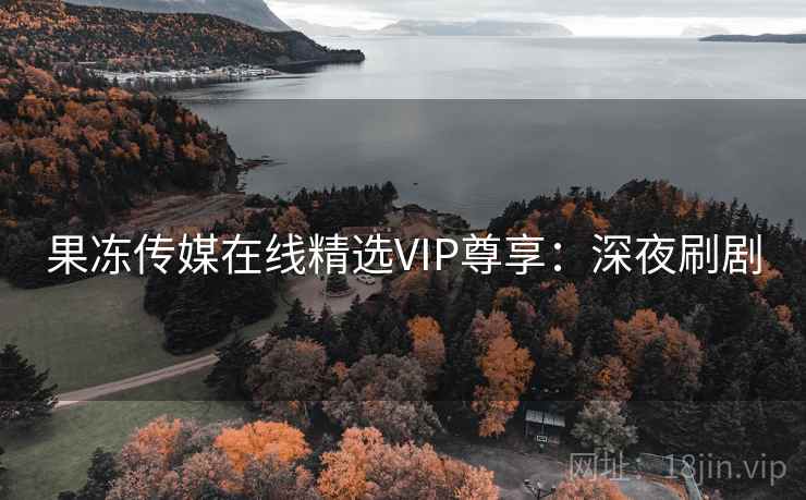 果冻传媒在线精选VIP尊享：深夜刷剧