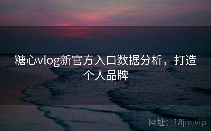 糖心vlog新官方入口数据分析，打造个人品牌